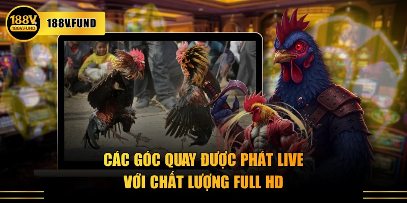 Các góc quay được phát live với chất lượng Full HD